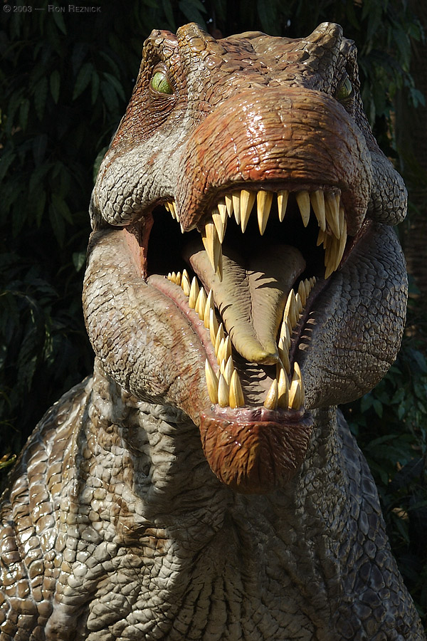 صور للنديناصورات Spinosaurus6031wt0